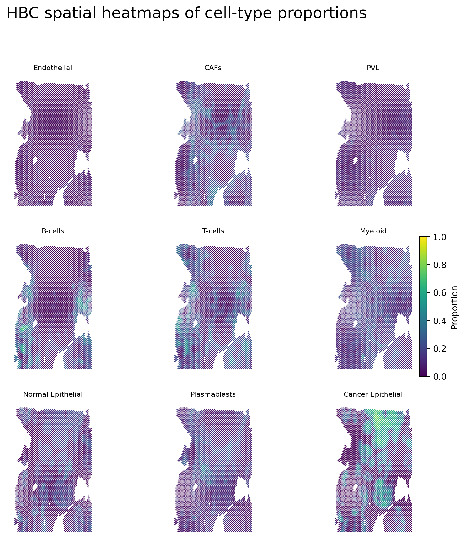 _images/hbc_cell_type_proportion_all9.png