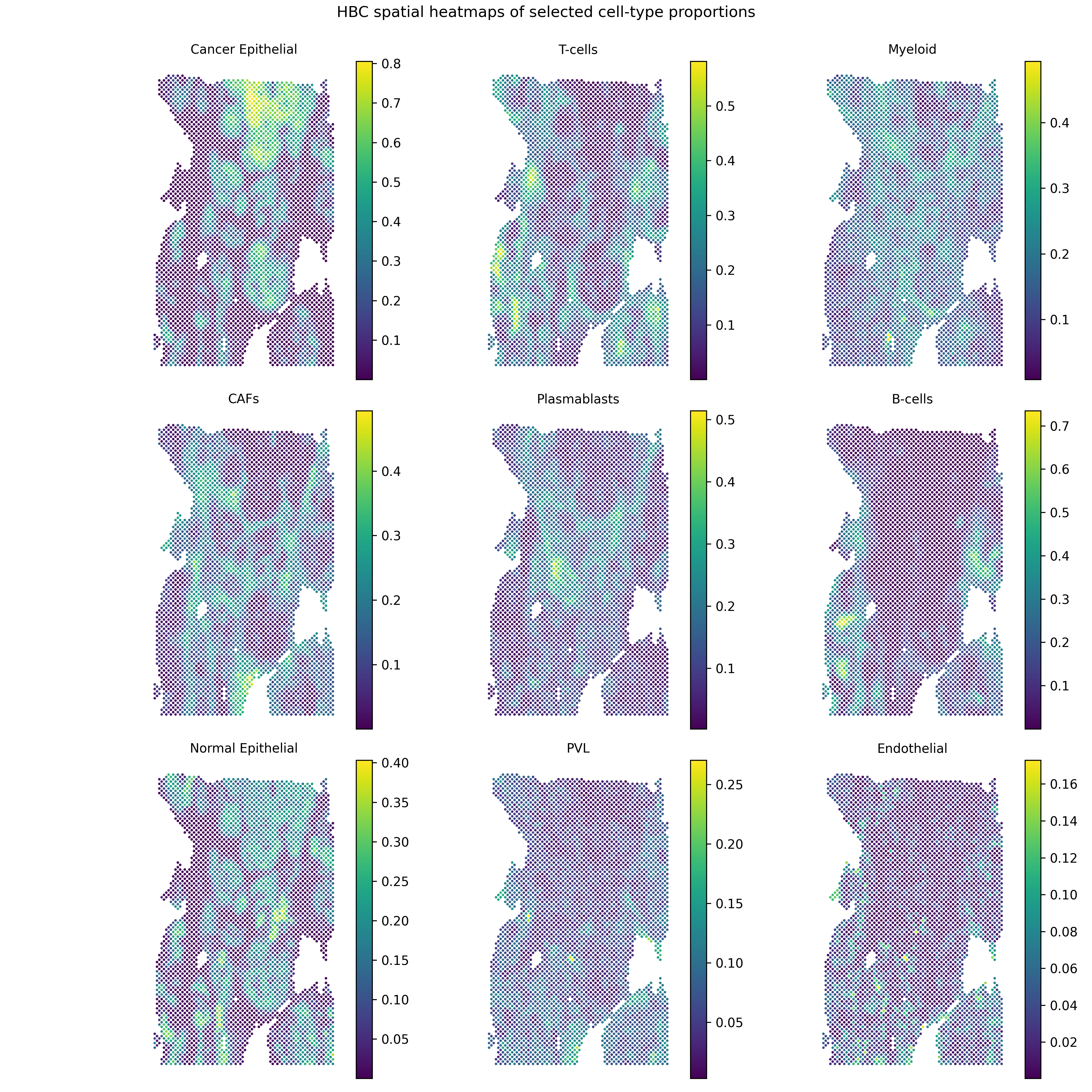 _images/hbc_cell_type_proportion_top9.png