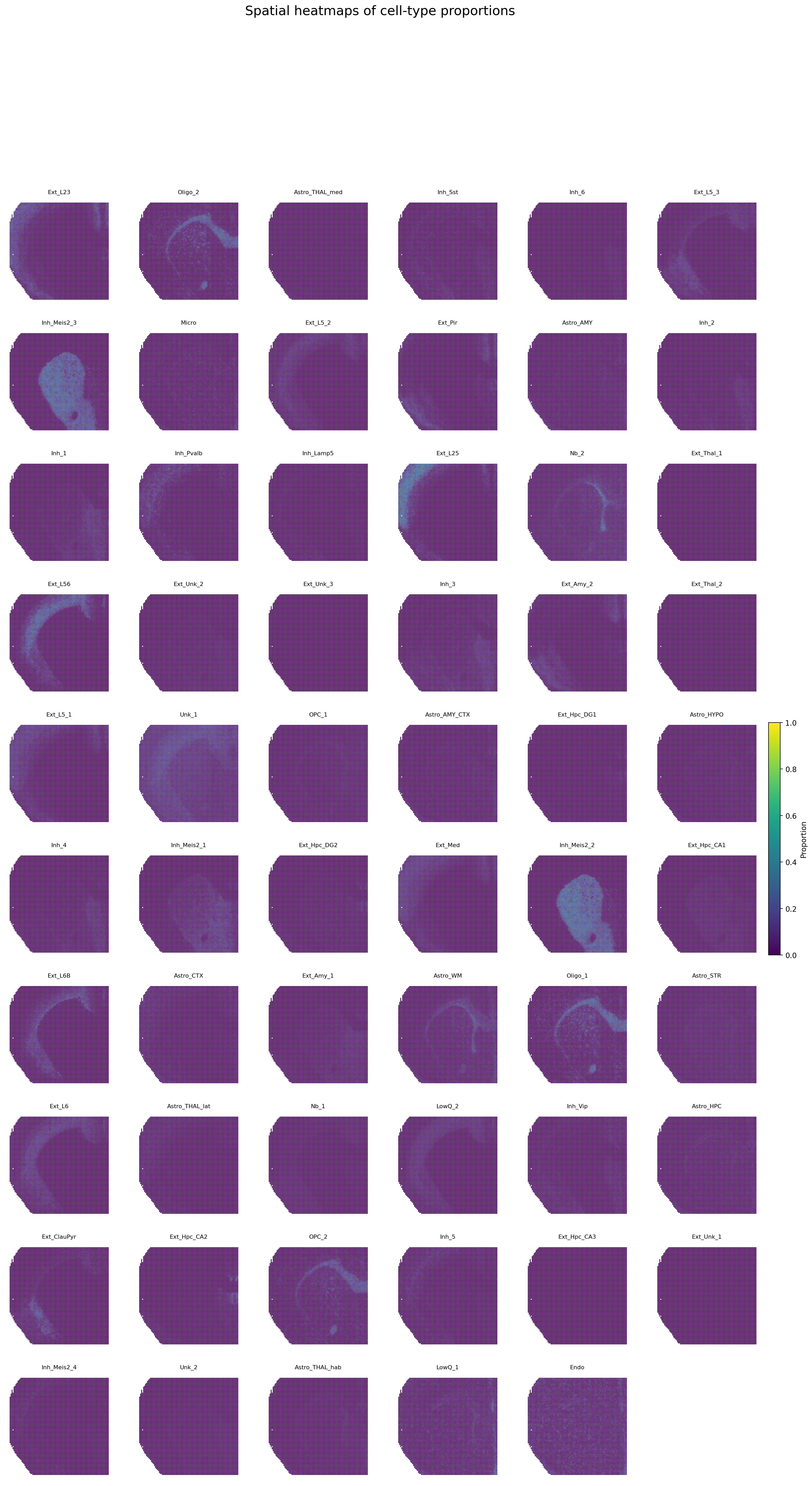 _images/mousebrain_cell_type_proportion_all59.png